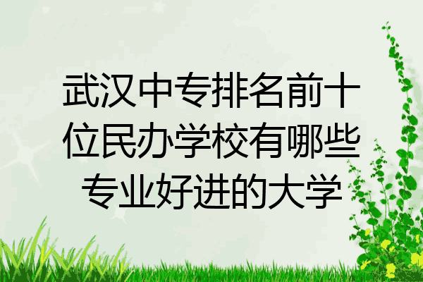 武汉中专排名前十位民办学校有哪些专业好进的大学