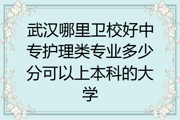 武汉哪里卫校好中专护理类专业多少分可以上本科的大学