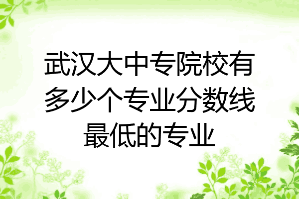 武汉大中专院校有多少个专业分数线最低的专业