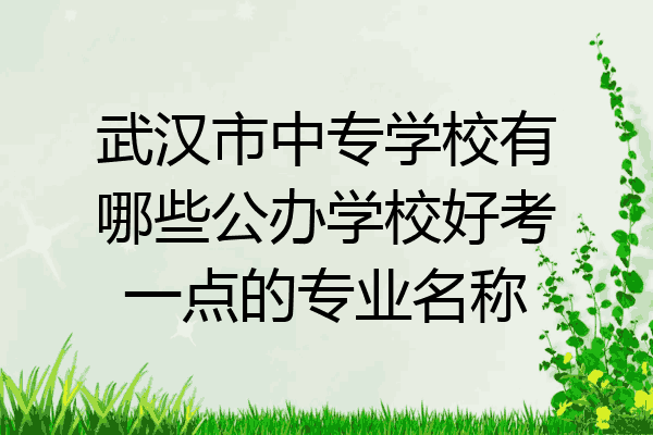 武汉市中专学校有哪些公办学校好考一点的专业名称
