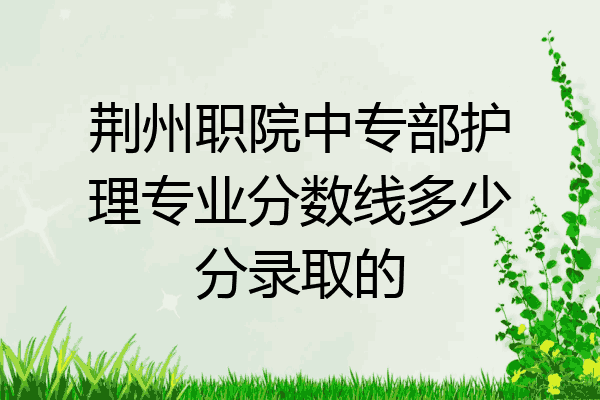 荆州职院中专部护理专业分数线多少分录取的