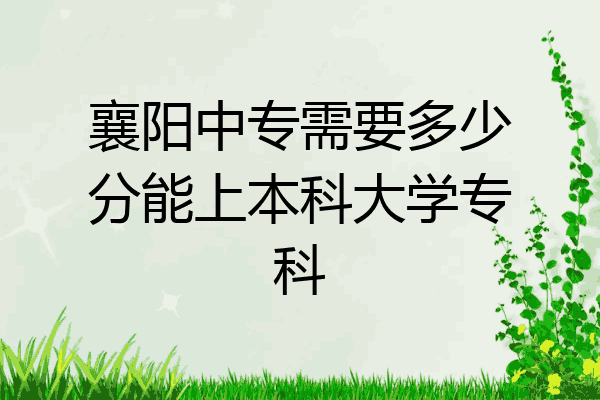 襄阳中专需要多少分能上本科大学专科