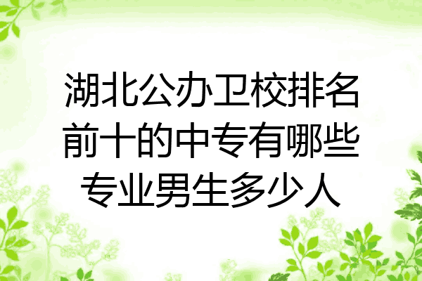 湖北公办卫校排名前十的中专有哪些专业男生多少人