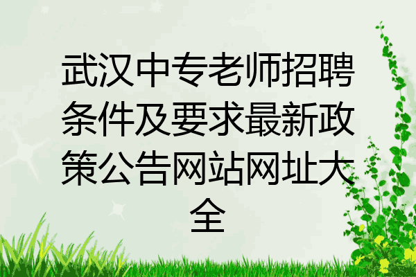 武汉中专老师招聘条件及要求最新政策公告网站网址大全