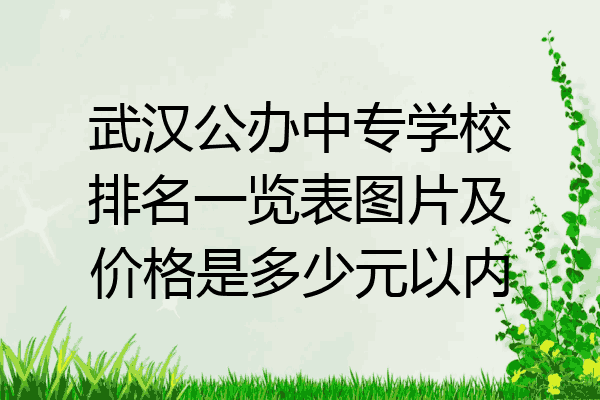 武汉公办中专学校排名一览表图片及价格是多少元以内