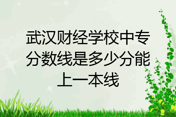 武汉财经学校中专分数线是多少分能上一本线