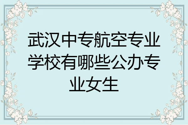 武汉中专航空专业学校有哪些公办专业女生