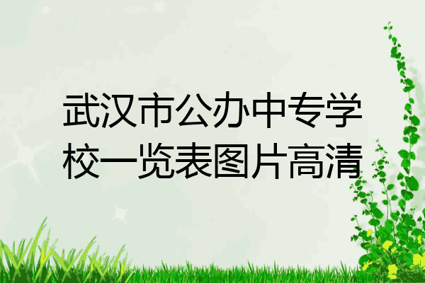 武汉市公办中专学校一览表图片高清