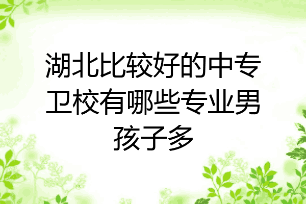 湖北比较好的中专卫校有哪些专业男孩子多