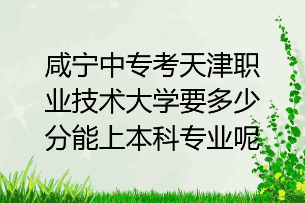 咸宁中专考天津职业技术大学要多少分能上本科专业呢