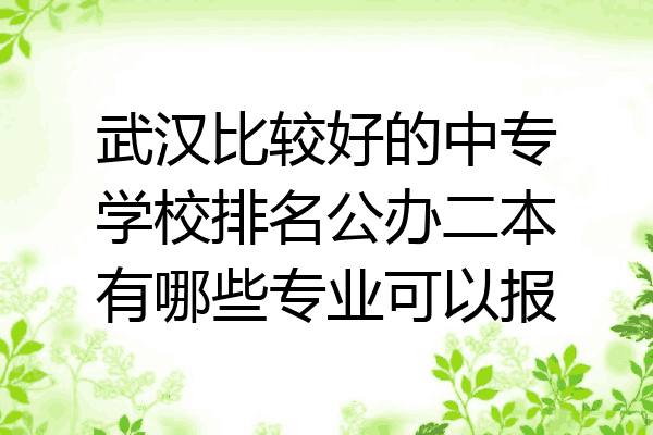 武汉比较好的中专学校排名公办二本有哪些专业可以报