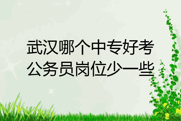 武汉哪个中专好考公务员岗位少一些