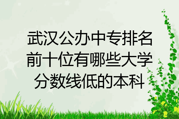 武汉公办中专排名前十位有哪些大学分数线低的本科