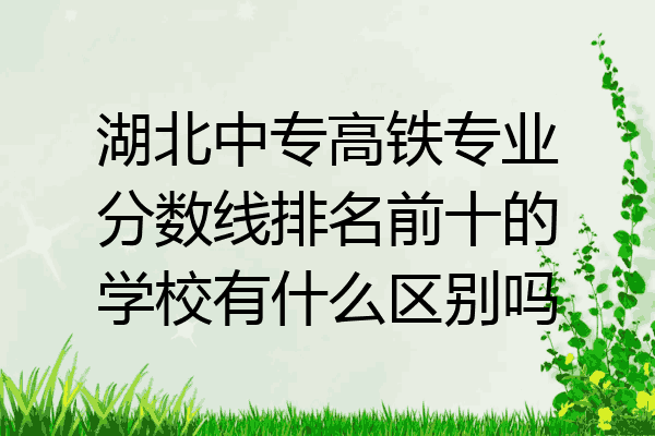 湖北中专高铁专业分数线排名前十的学校有什么区别吗