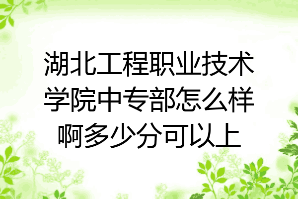 湖北工程职业技术学院中专部怎么样啊多少分可以上