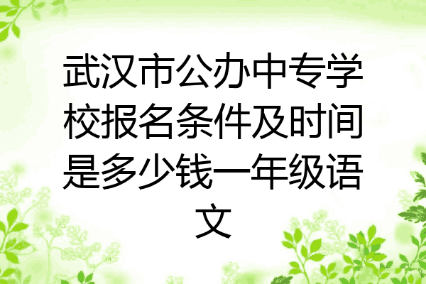 武汉市公办中专学校报名条件及时间是多少钱一年级语文
