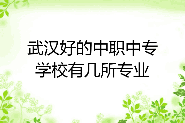 武汉好的中职中专学校有几所专业