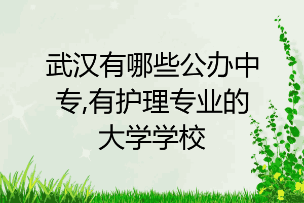 武汉有哪些公办中专,有护理专业的大学学校