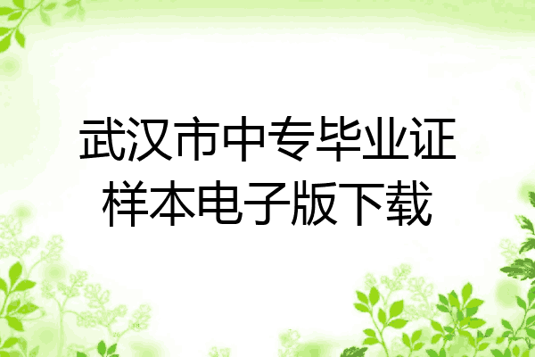 武汉市中专毕业证样本电子版下载