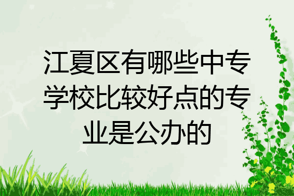 江夏区有哪些中专学校比较好点的专业是公办的