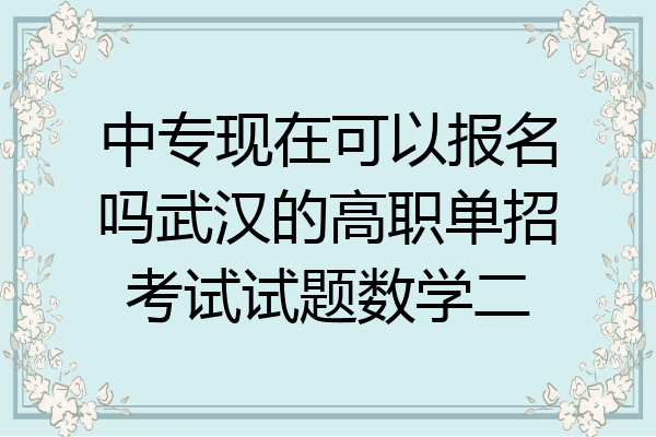 中专现在可以报名吗武汉的高职单招考试试题数学二