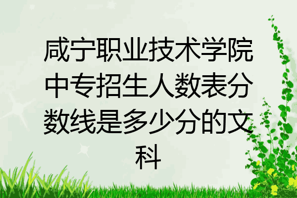咸宁职业技术学院中专招生人数表分数线是多少分的文科