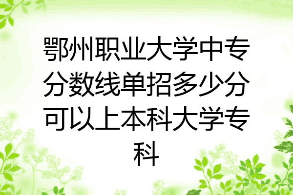 鄂州职业大学中专分数线单招多少分可以上本科大学专科