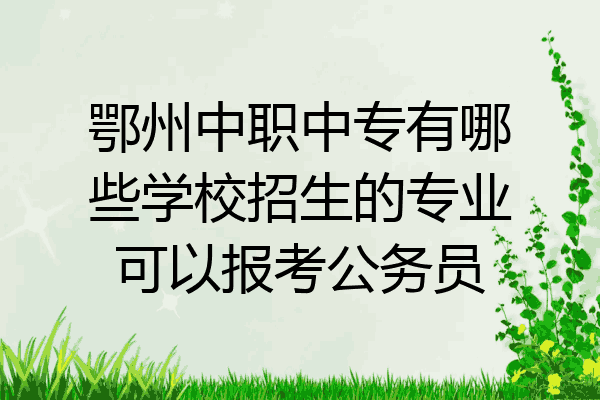 鄂州中职中专有哪些学校招生的专业可以报考公务员