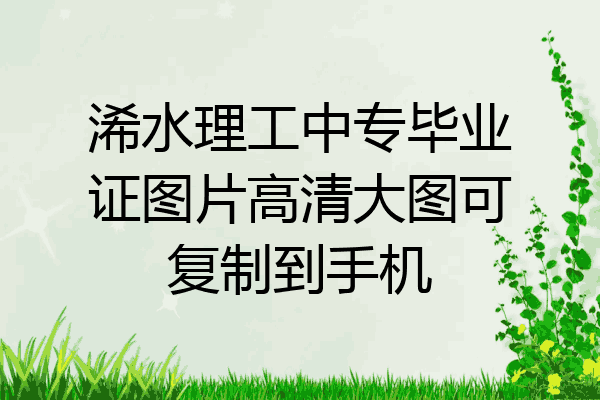 浠水理工中专毕业证图片高清大图可复制到手机