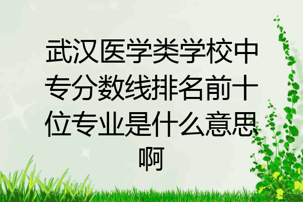 武汉医学类学校中专分数线排名前十位专业是什么意思啊