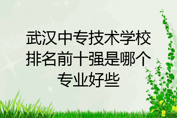 武汉中专技术学校排名前十强是哪个专业好些