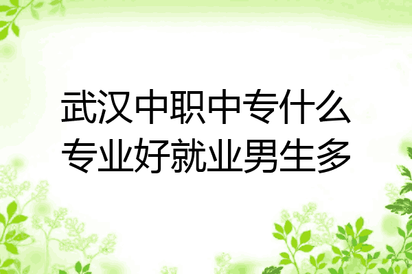 武汉中职中专什么专业好就业男生多