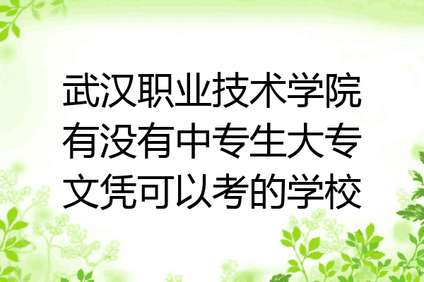 武汉职业技术学院有没有中专生大专文凭可以考的学校