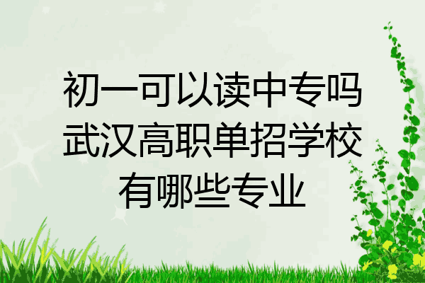 初一可以读中专吗武汉高职单招学校有哪些专业