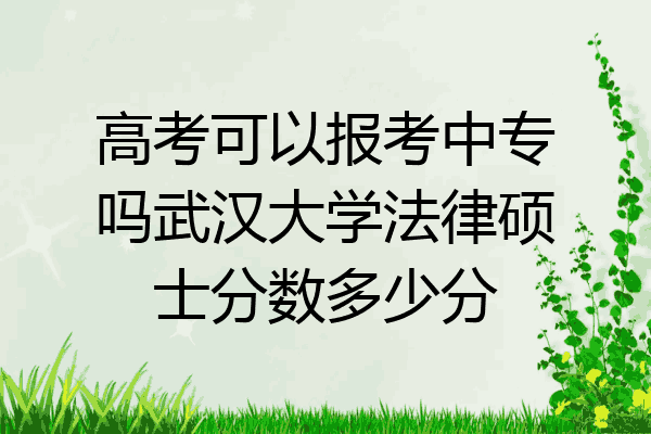 高考可以报考中专吗武汉大学法律硕士分数多少分