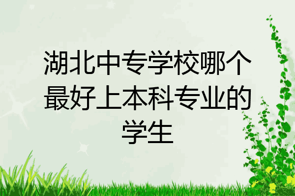 湖北中专学校哪个最好上本科专业的学生