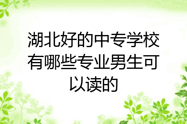 湖北好的中专学校有哪些专业男生可以读的