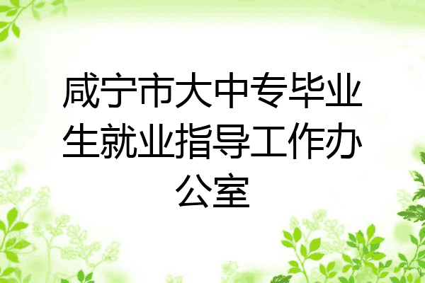 咸宁市大中专毕业生就业指导工作办公室