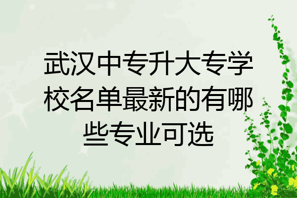 武汉中专升大专学校名单最新的有哪些专业可选