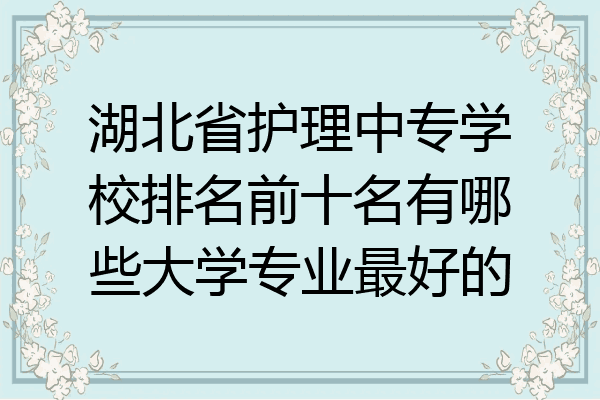 湖北省护理中专学校排名前十名有哪些大学专业最好的