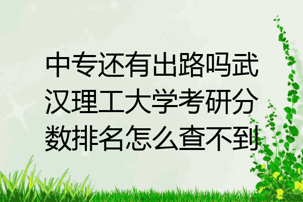 中专还有出路吗武汉理工大学考研分数排名怎么查不到
