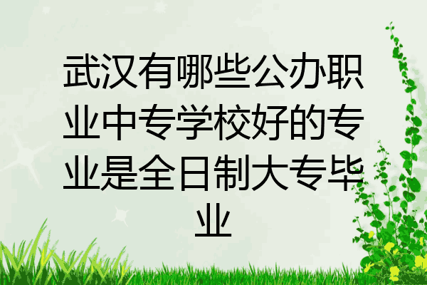 武汉有哪些公办职业中专学校好的专业是全日制大专毕业