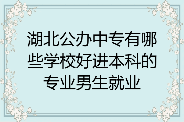 湖北公办中专有哪些学校好进本科的专业男生就业