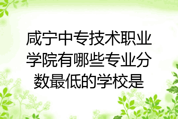 咸宁中专技术职业学院有哪些专业分数最低的学校是