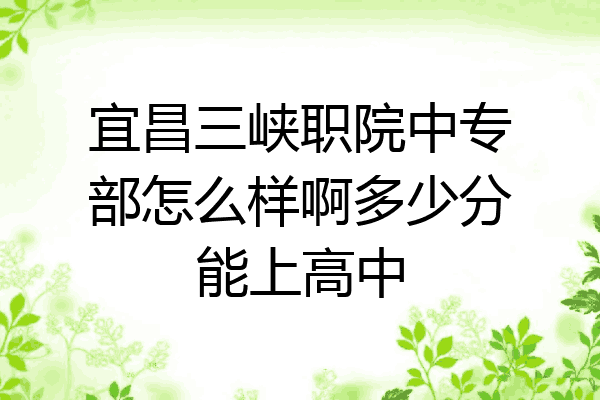 宜昌三峡职院中专部怎么样啊多少分能上高中