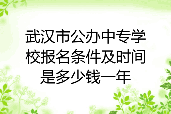 武汉市公办中专学校报名条件及时间是多少钱一年