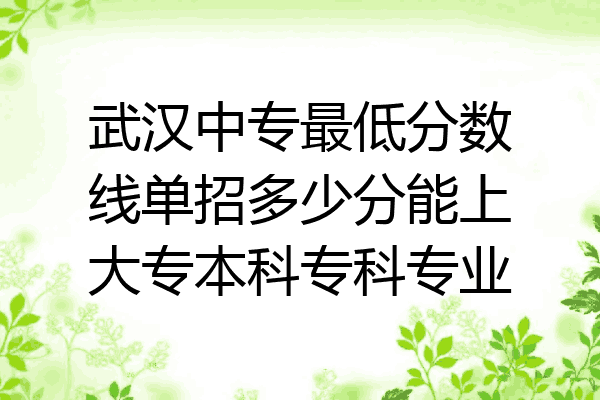 武汉中专最低分数线单招多少分能上大专本科专科专业