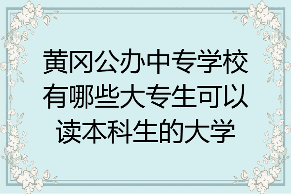 黄冈公办中专学校有哪些大专生可以读本科生的大学