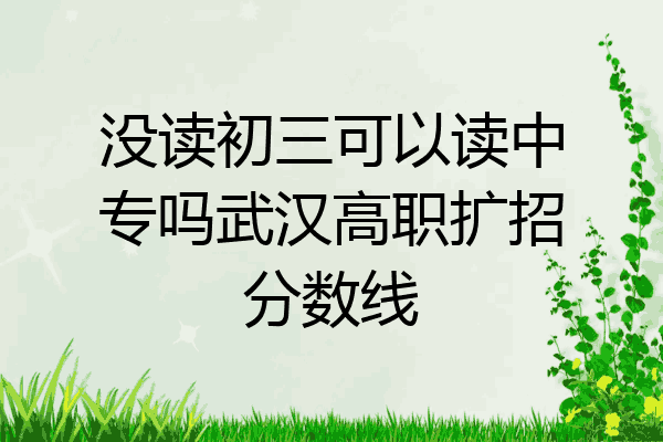 没读初三可以读中专吗武汉高职扩招分数线