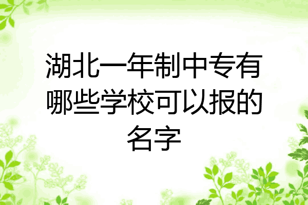 湖北一年制中专有哪些学校可以报的名字